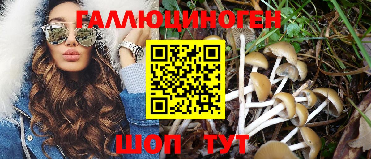 Псилоцибиновые грибы мицелий  Псилоцибиновые грибы Magic Shrooms  купить наркоту  Орёл  Вход с VPN 